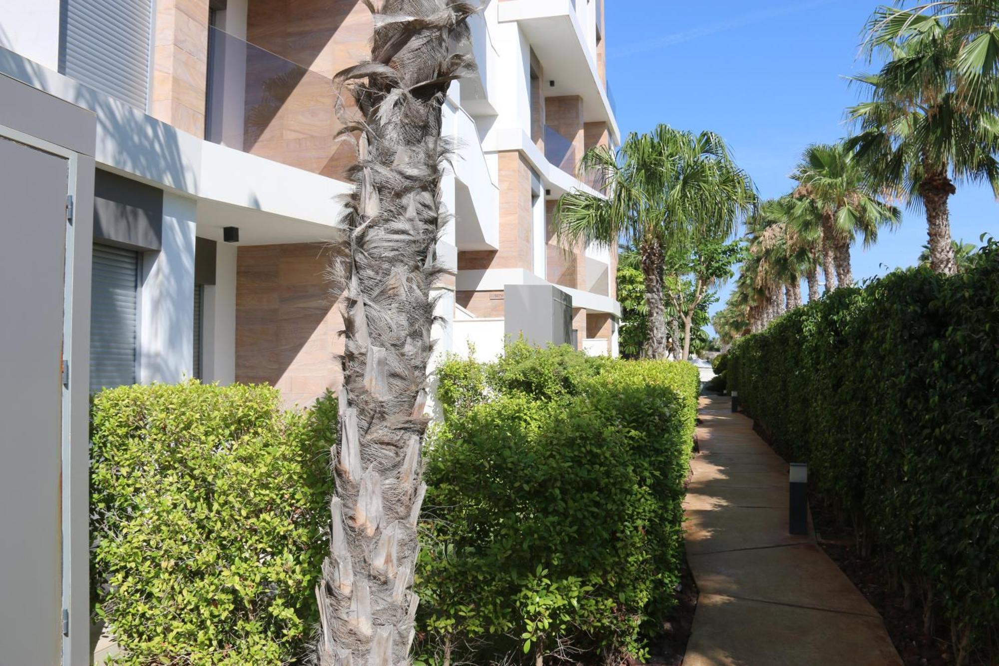 Luxusni Apartman Ve Spanelsku, Cabo Roig Orihuela Extérieur photo